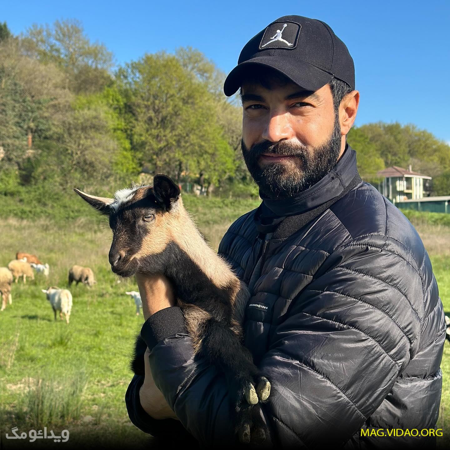 murat 29