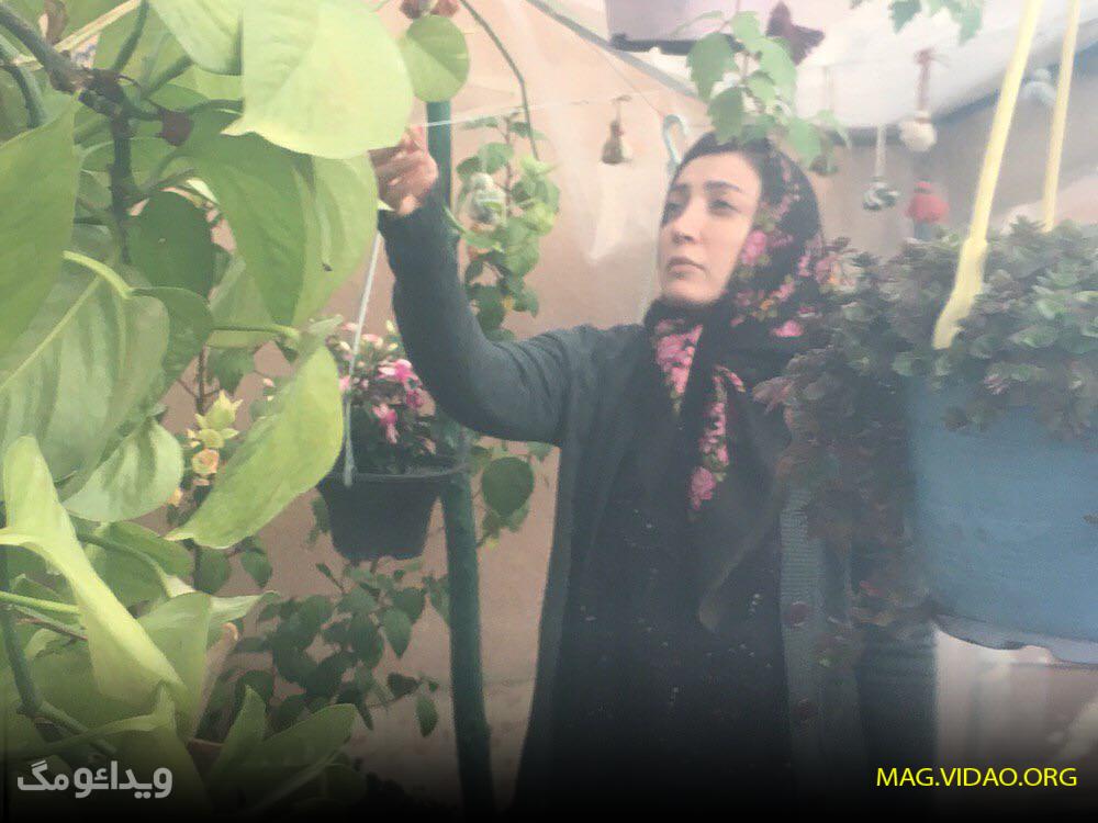 بیوگرافی نگار عابدی در دودکش 2
