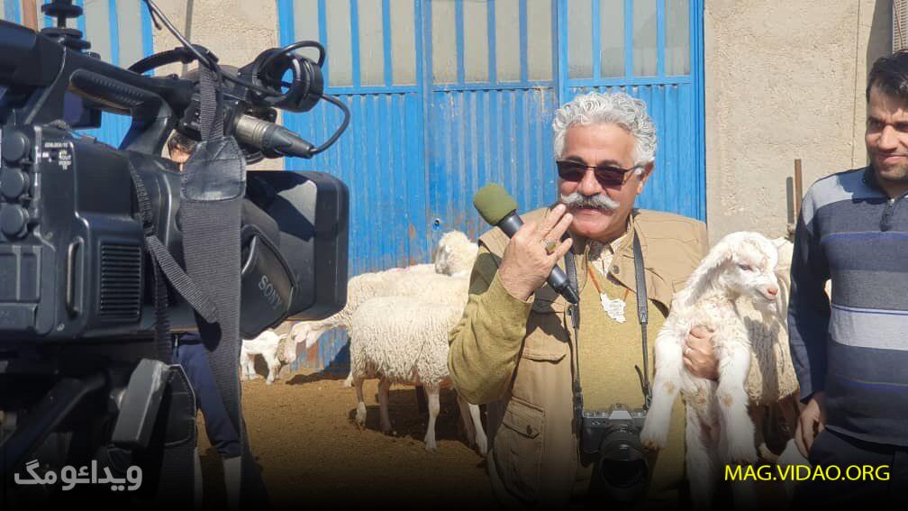 egbal 17