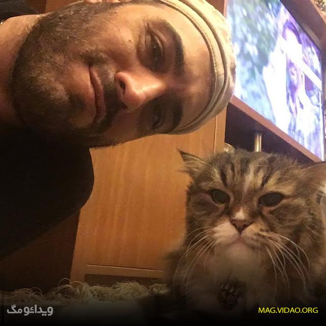 بیوگرافی امیریل ارجمند بازیگر سعید سلطانی در سریال ستایش + همسر و فرزندش 45