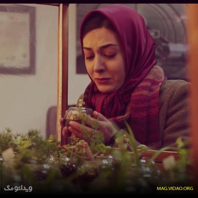 بیوگرافی سوگل قلاتیان  (لاله در لیسانسه ها) و همسرش + عکس های شخصی 44