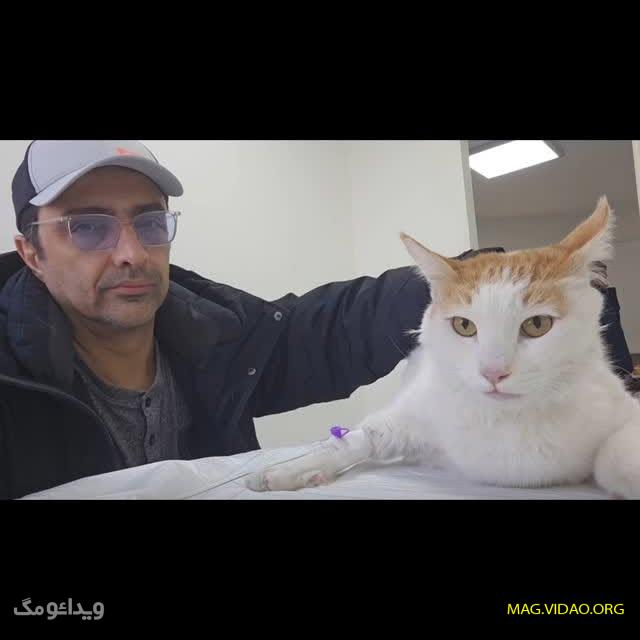 بیوگرافی امین زندگانی و همسر اول و دومش + علت جدایی و فرزندش 1